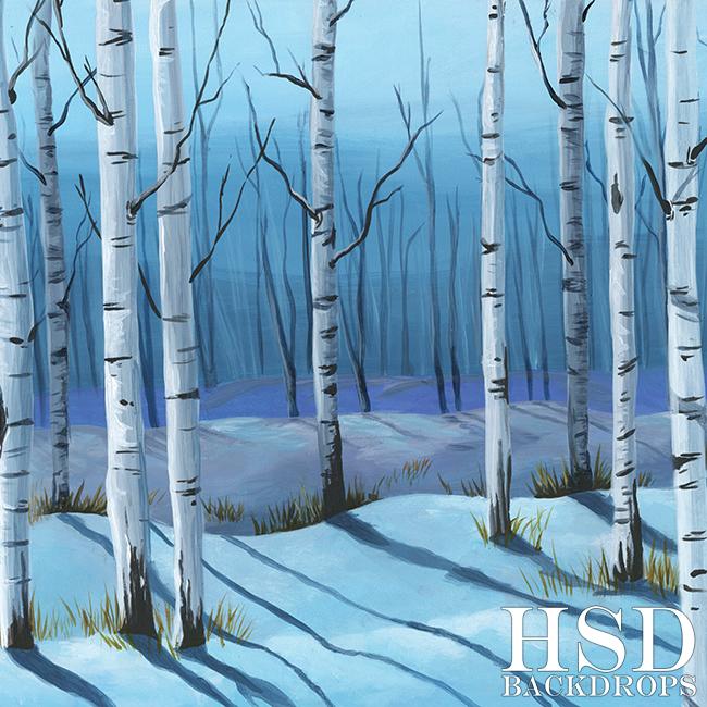 Winter Birch Trees (VINYL) - HSD Photography Backdrops