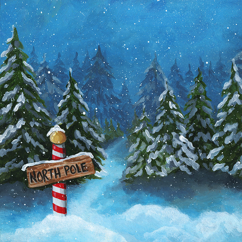 To the North Pole - HSD Photography Backdrops