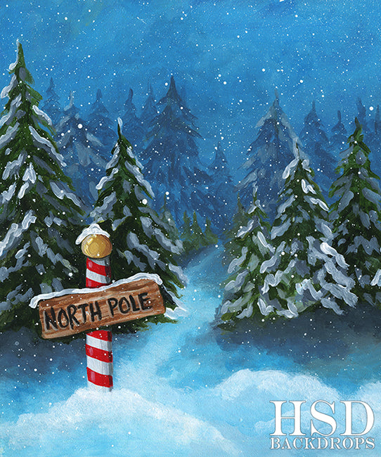 To the North Pole - HSD Photography Backdrops