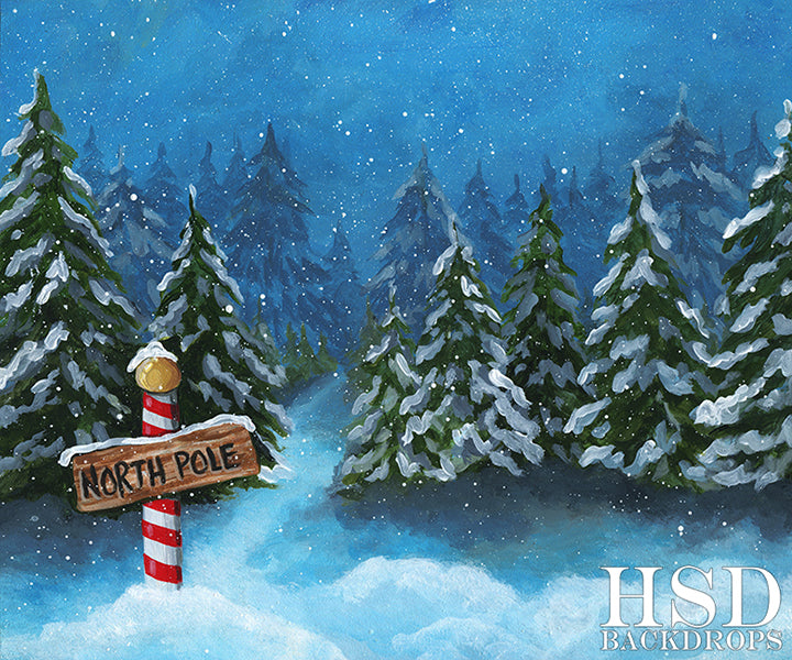 To the North Pole - HSD Photography Backdrops