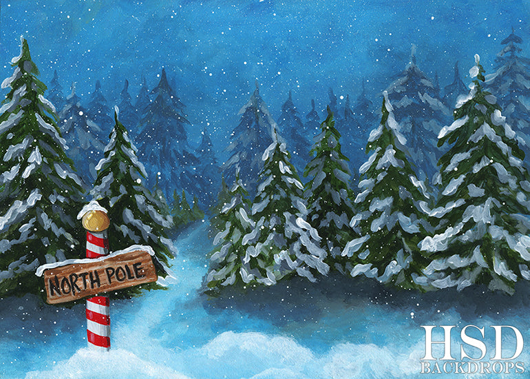 To the North Pole - HSD Photography Backdrops