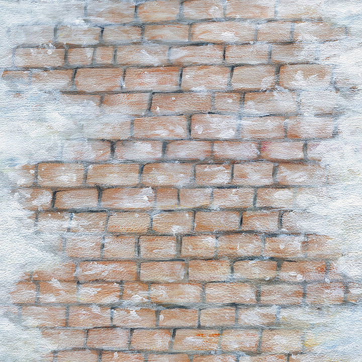 Snow Covered Brick Floor Mat - HSD Photography Backdrops