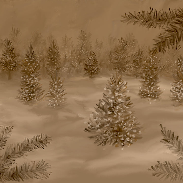 Winter Woodlands Studio - HSD Photography Backdrops