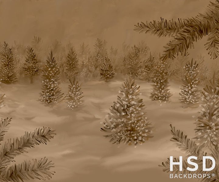 Winter Woodlands Studio - HSD Photography Backdrops