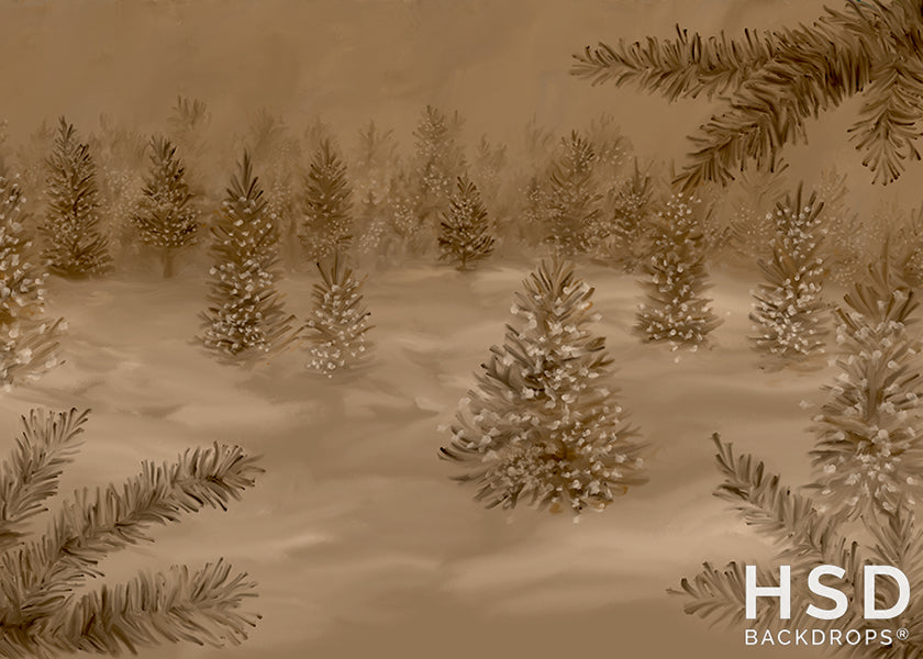 Winter Woodlands Studio - HSD Photography Backdrops