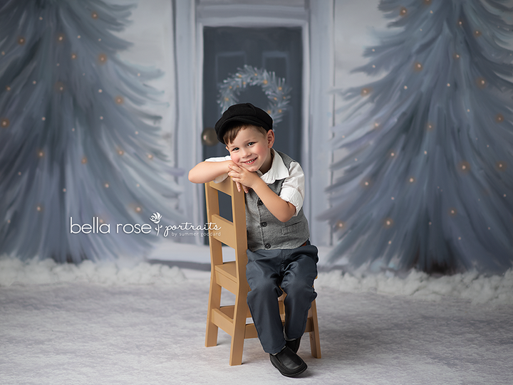 Winter | Christmas is Coming - HSD Photography Backdrops