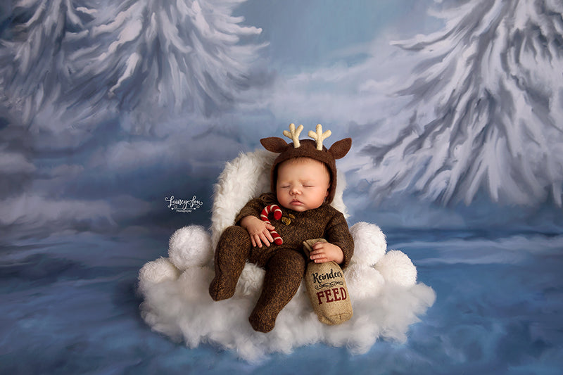 Winterland - HSD Photography Backdrops