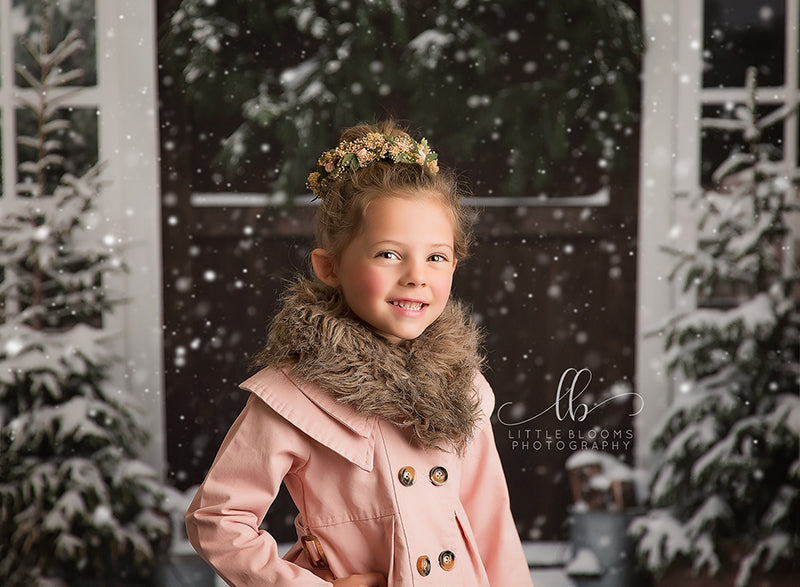 Christmas Barn Doors - HSD Photography Backdrops