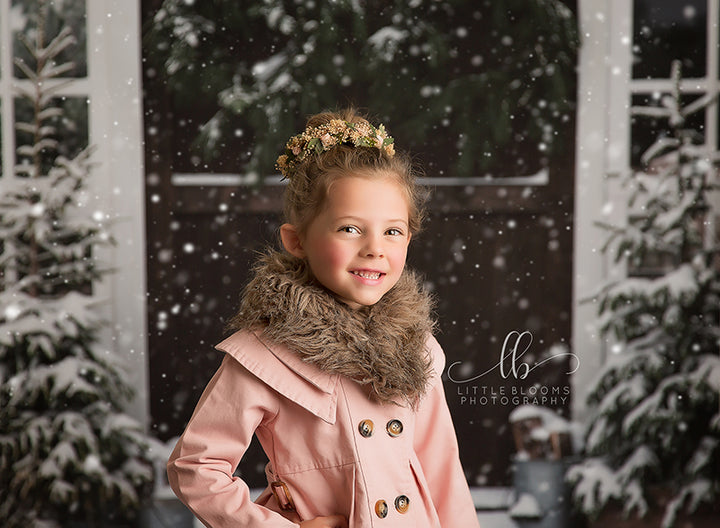 Christmas Barn Doors - HSD Photography Backdrops