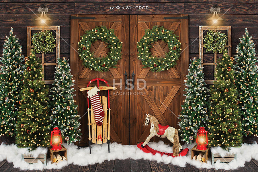 Winter Stroll - HSD Photography Backdrops