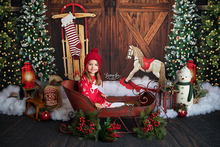 Winter Stroll - HSD Photography Backdrops