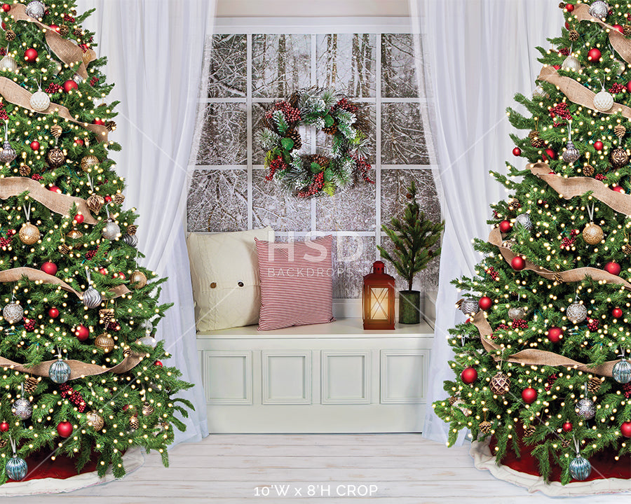 Winter Christmas Window - HSD Photography Backdrops