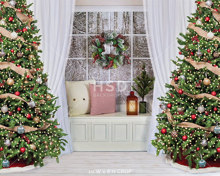Winter Christmas Window - HSD Photography Backdrops