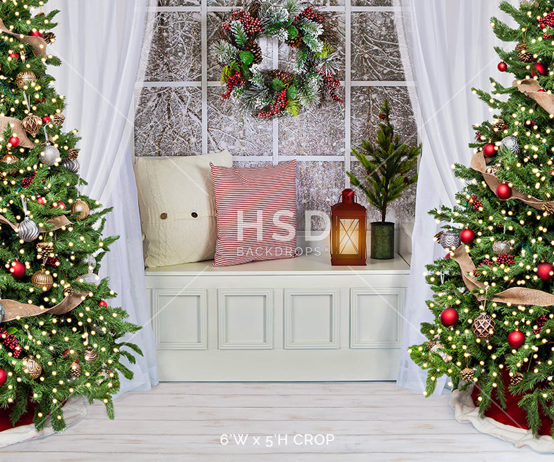 Winter Christmas Window - HSD Photography Backdrops