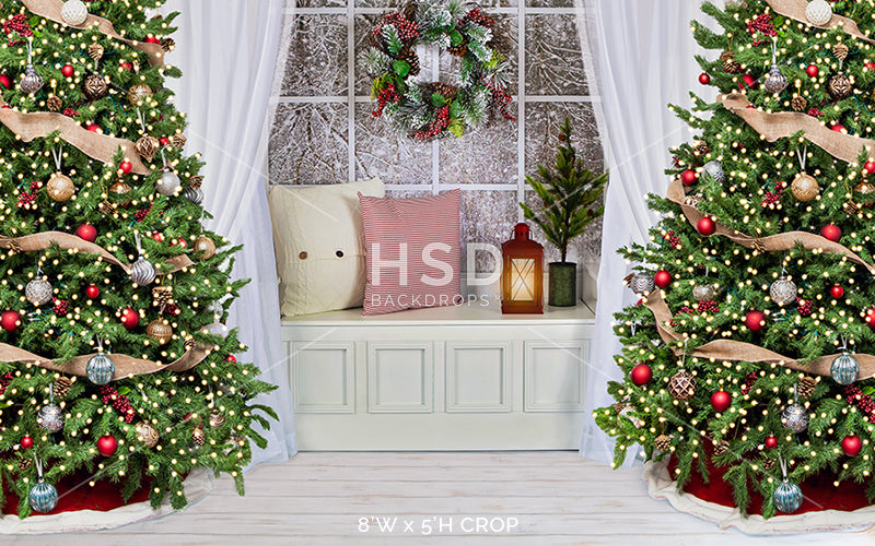 Winter Christmas Window - HSD Photography Backdrops