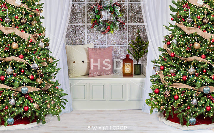 Winter Christmas Window - HSD Photography Backdrops
