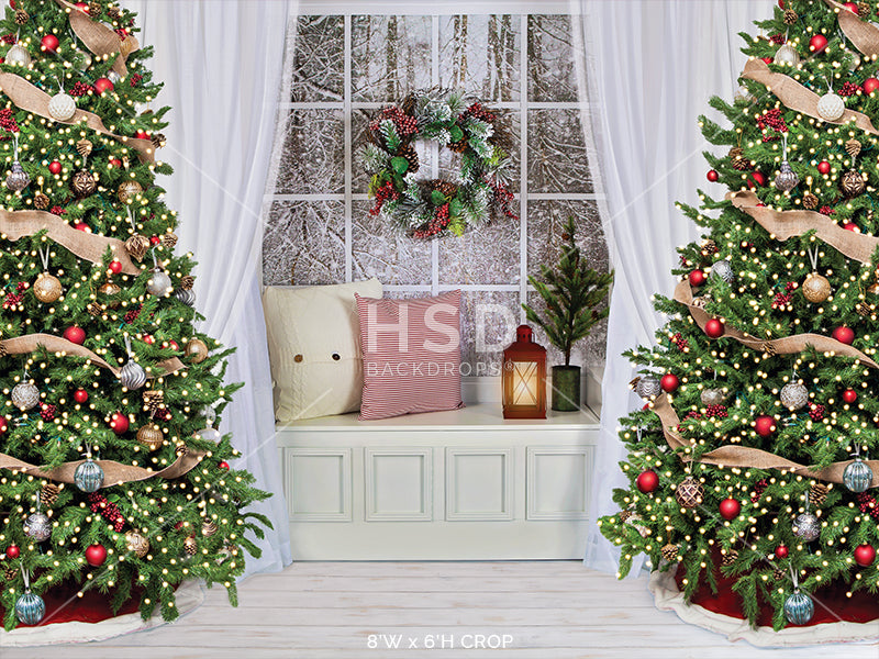 Winter Christmas Window - HSD Photography Backdrops