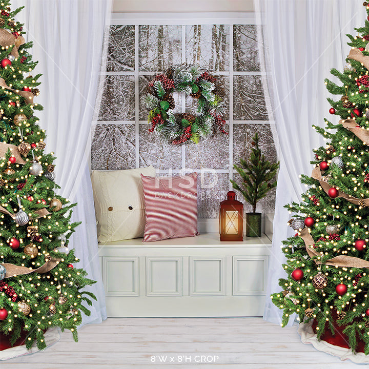 Winter Christmas Window - HSD Photography Backdrops