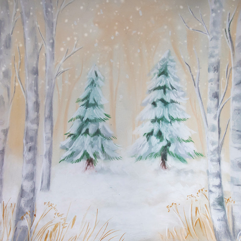 Donnelly - HSD Photography Backdrops