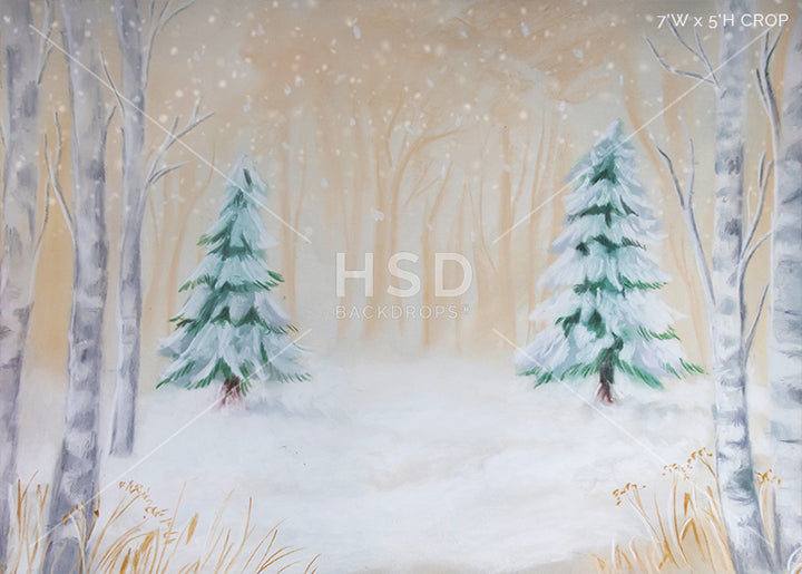 Donnelly - HSD Photography Backdrops