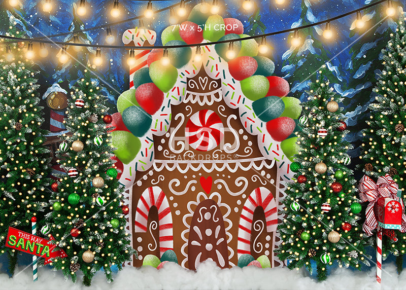 Gingerbread House Winter Wonderland - HSD Photography Backdrops
