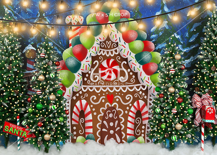 Gingerbread House Winter Wonderland - HSD Photography Backdrops