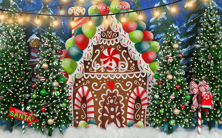 Gingerbread House Winter Wonderland - HSD Photography Backdrops