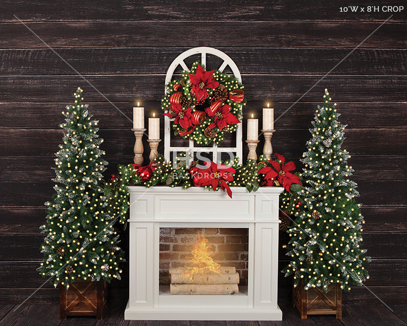 Christmas Poinsettias (large) - HSD Photography Backdrops