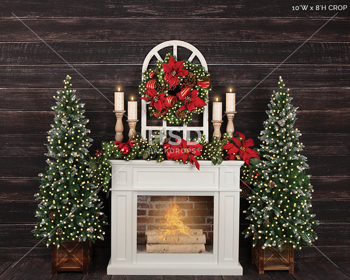 Christmas Poinsettias (large) - HSD Photography Backdrops