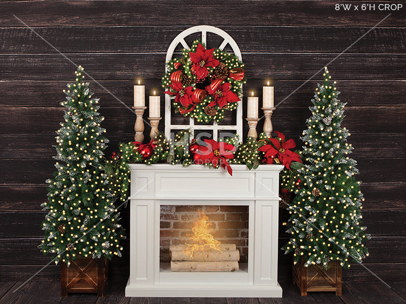 Christmas Poinsettias (large) - HSD Photography Backdrops