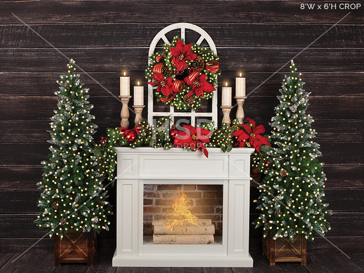 Christmas Poinsettias (large) - HSD Photography Backdrops