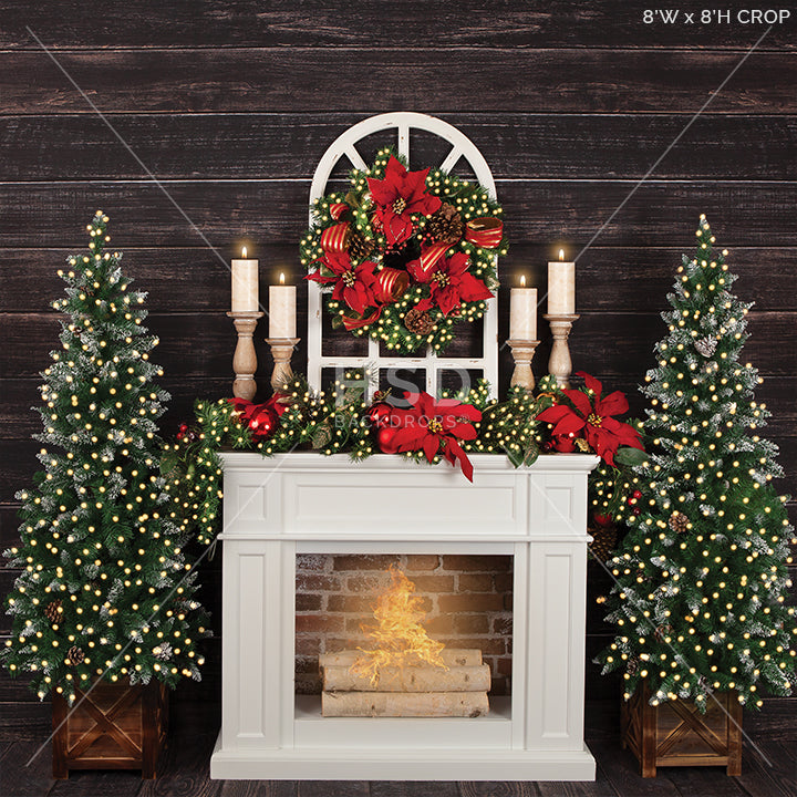 Christmas Poinsettias (large) - HSD Photography Backdrops