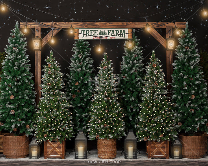 Tree Farm Under the Stars - HSD Photography Backdrops