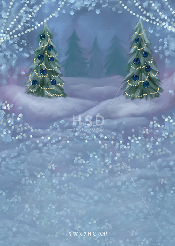 December Magic - HSD Photography Backdrops
