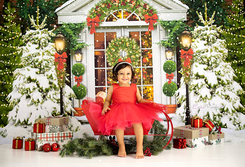 Snowy Christmas Scene - HSD Photography Backdrops