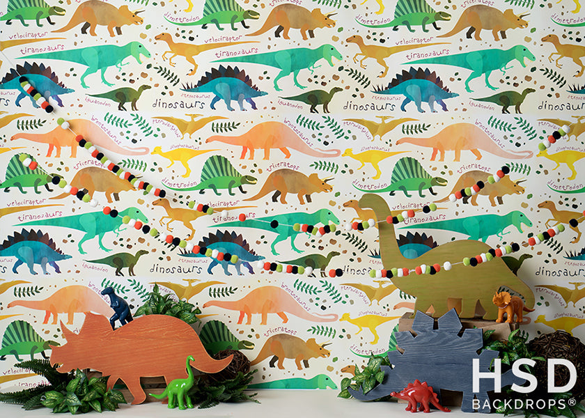 Dinosaur Set Up - HSD Photography Backdrops
