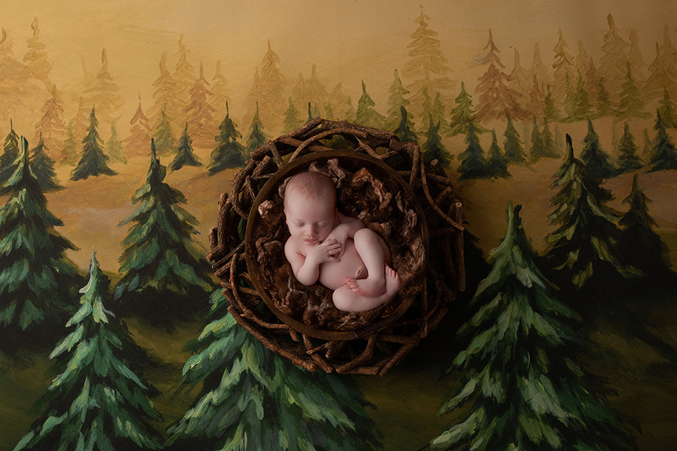 Christmas Tree Farm | Lumberjack Coll. | Digital - HSD Photography Backdrops