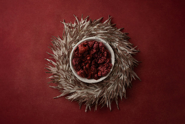 Cozy Christmas | Joy to the Wold Coll. | Digital - HSD Photography Backdrops