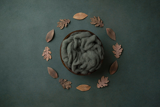 Autumn Elements Collection | Digital - HSD Photography Backdrops