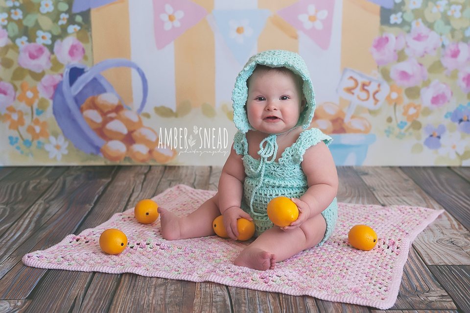 Lemonade Stand - HSD Photography Backdrops