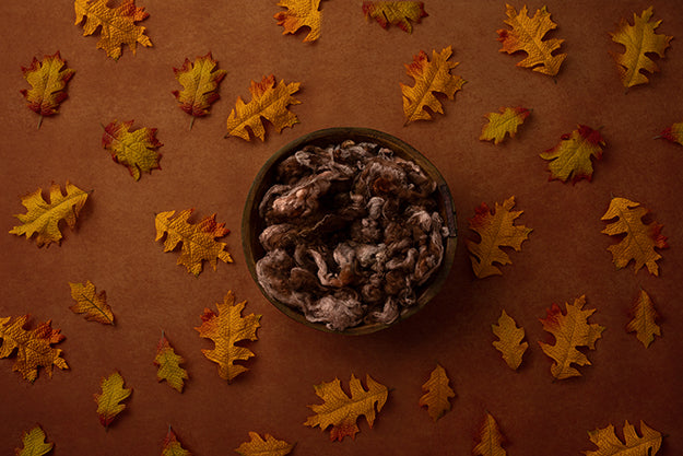 Dancing Leaves Brown | Lovely Leaves Coll. | Digital - HSD Photography Backdrops