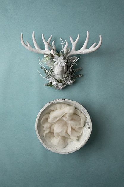 Deck the Walls | 'Tis the Season Coll. | Digital - HSD Photography Backdrops
