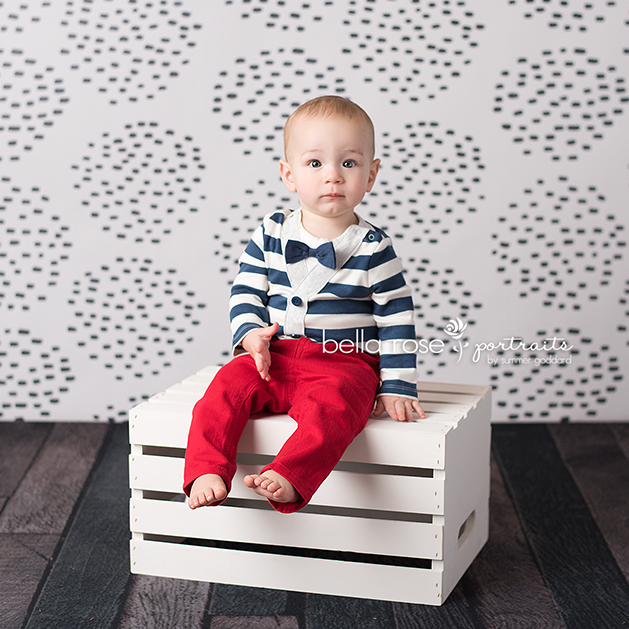 Dots - HSD Photography Backdrops