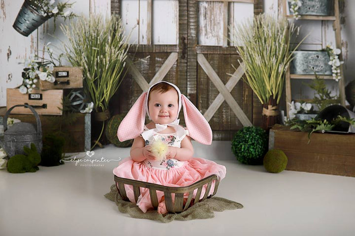 Signs of Spring - HSD Photography Backdrops