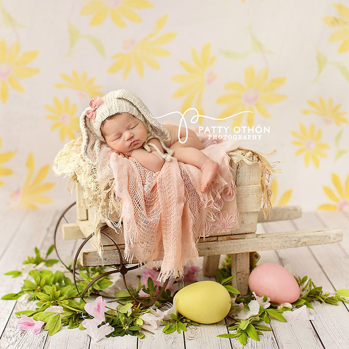 Daisy - HSD Photography Backdrops