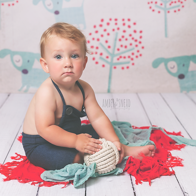 Dog Park - HSD Photography Backdrops