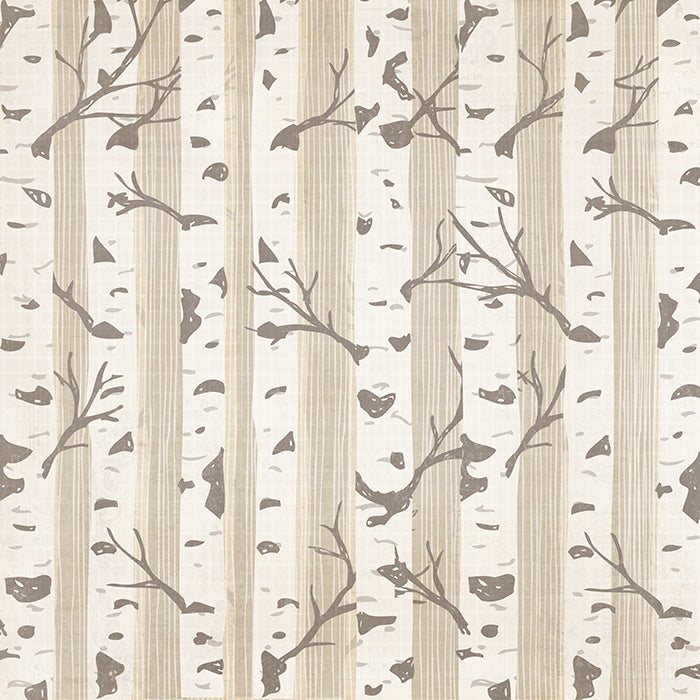 Woodland Birch Trees - HSD Photography Backdrops 