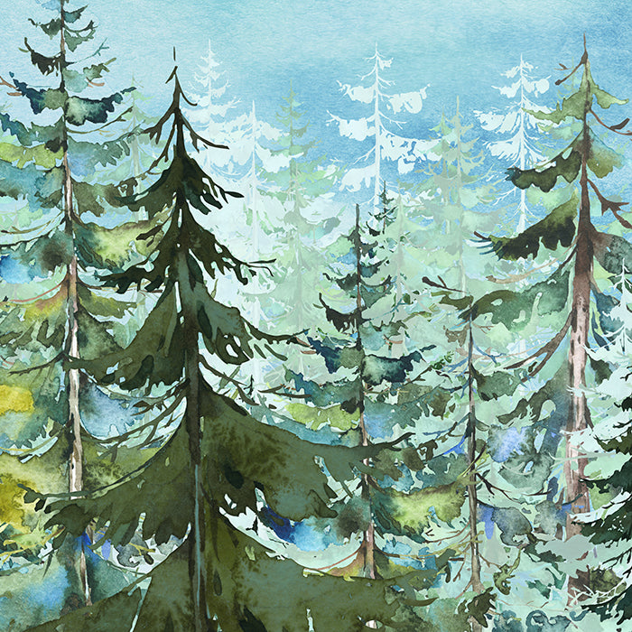 Forest | Payette - HSD Photography Backdrops