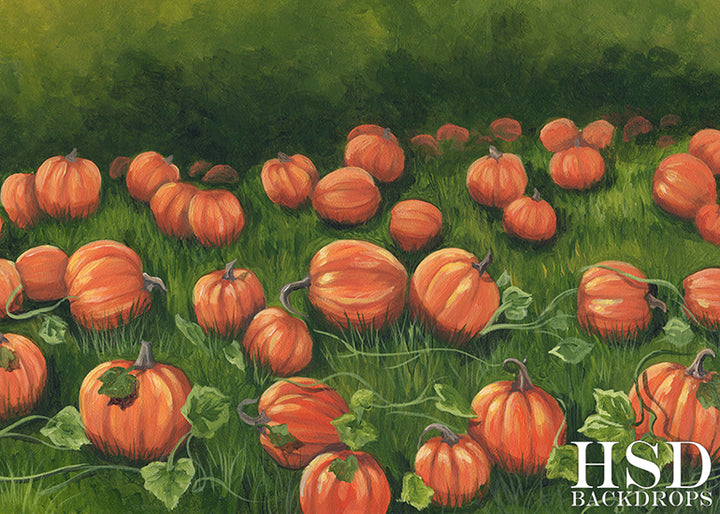 Pumpkin Field - HSD Photography Backdrops