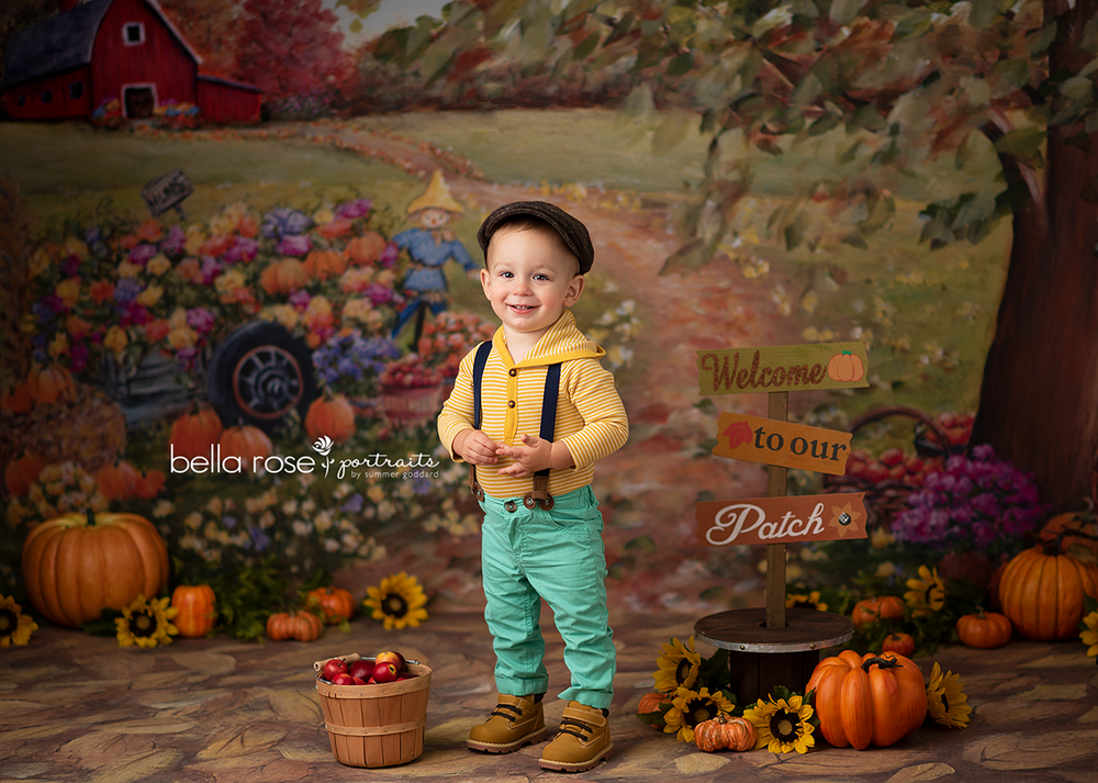 Harvest Season Fall Photo Background - HSD Photography Backdrops